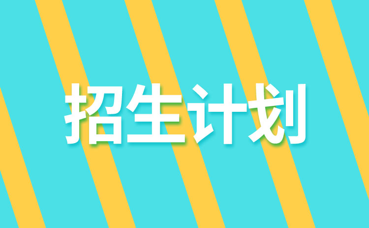 齊魯醫(yī)藥學院2022年單招招生計劃是多少